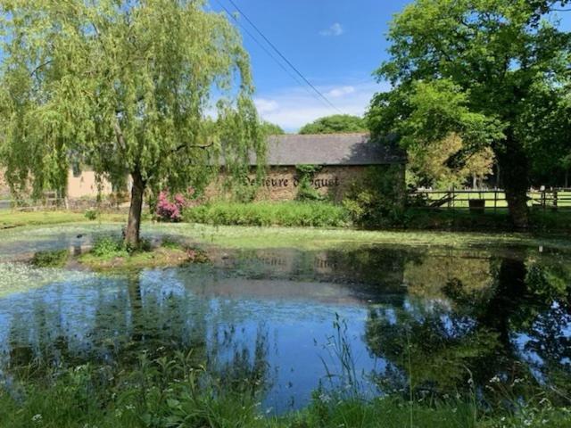 La Demeure Romantique Bazouges-sous-Hede 外观 照片