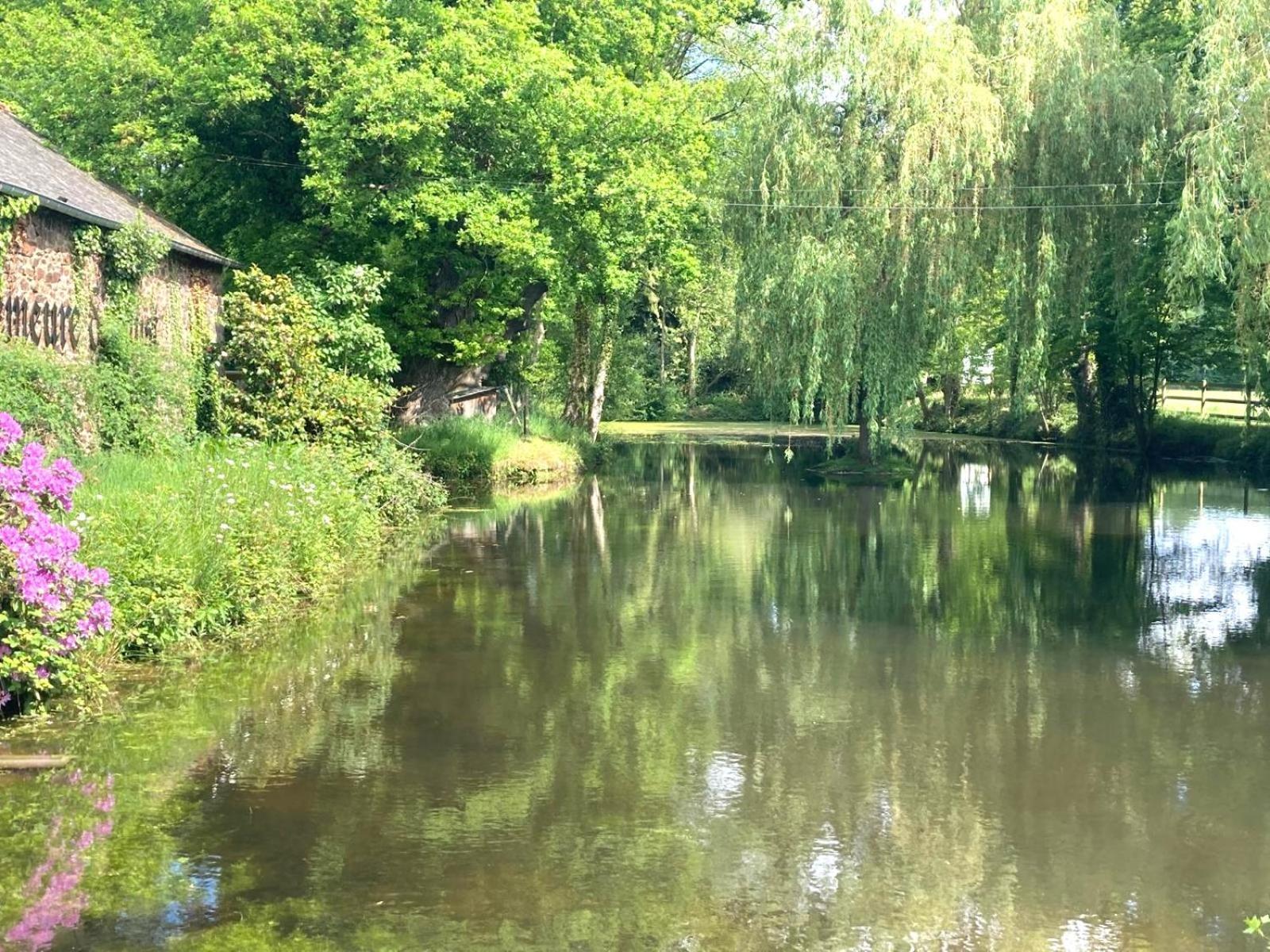 La Demeure Romantique Bazouges-sous-Hede 外观 照片